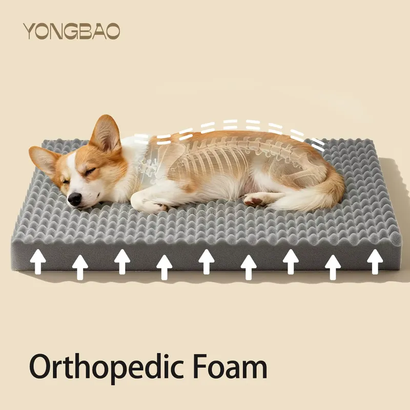 공장 도매 고급 귀여운 강아지 고양이 케이브 침대 강아 - Tech Accessories Luxury 리뷰 및 가격